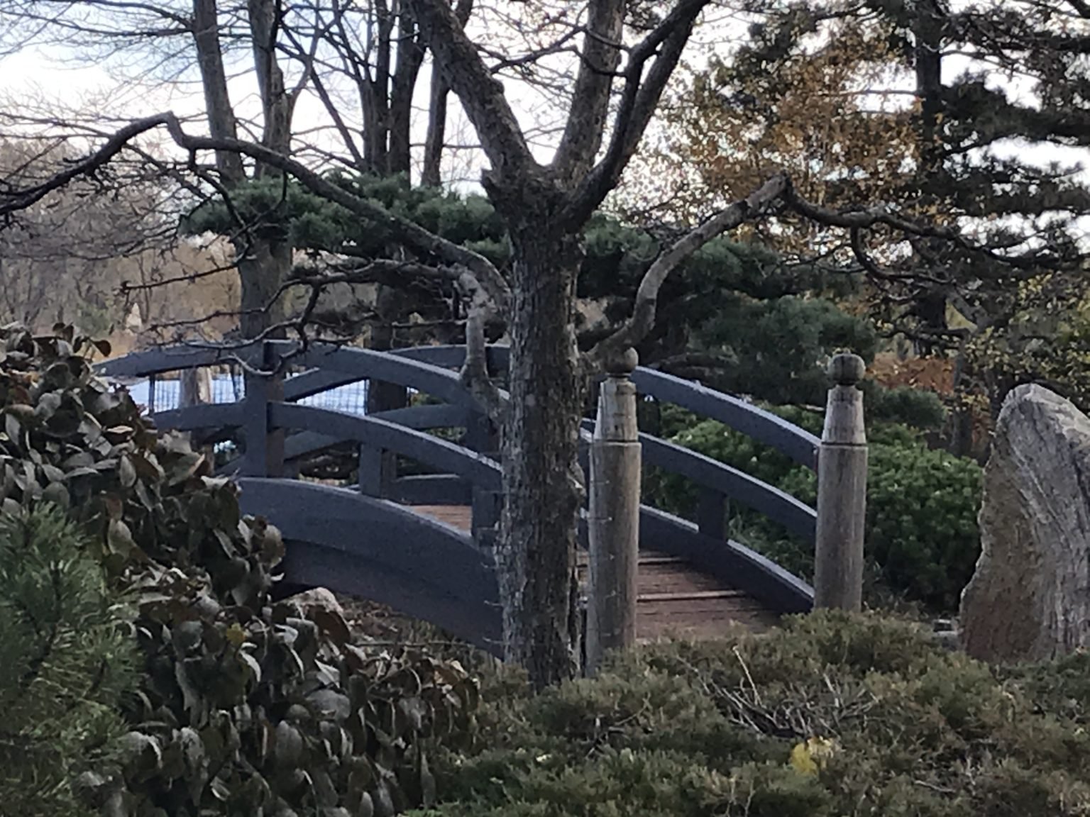 Japanese Garden footbridge, Jackson Park